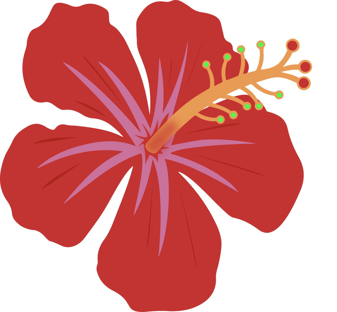 Hibiscus